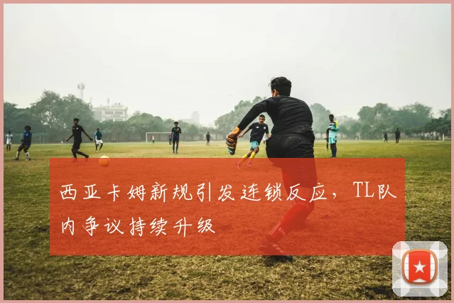 西亚卡姆新规引发连锁反应,TL队内争议持续升级